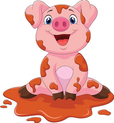 Best Pig In Mud Illustrations Royalty Free Vector
