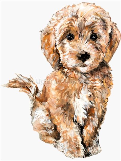 Poodle Goldendoodle Puppy Watercolor Illustration Sticker By Nahinds