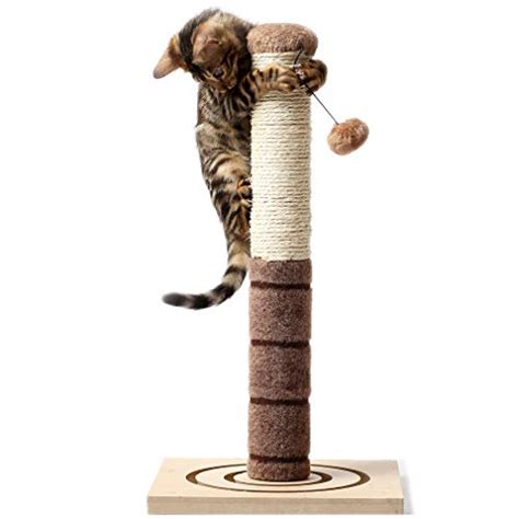Best Cat Scratching Posts 2021 Reviews My Pet Likes It