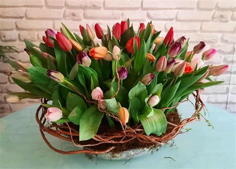 Arreglo Con 100 Tulipanes Espectaculares Y Coloridos