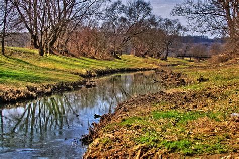 Free Images Tree Water Grass Creek Meadow River Pond Reservoir