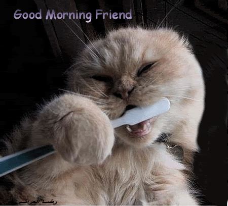 The perfect goodmorning animated gif for your conversation. Good Morning Friend Pictures, Photos, and Images for ...