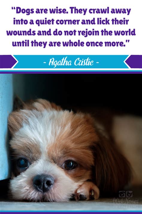 Click For More Dog Quotes Dogs Are Wise They Crawl Away Into A Quiet