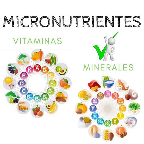 Conoce Los Micronutrientes