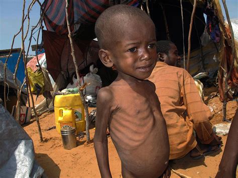 Pauvret Des Solutions Pour Lutter Contre La Famine En Afrique De Lest