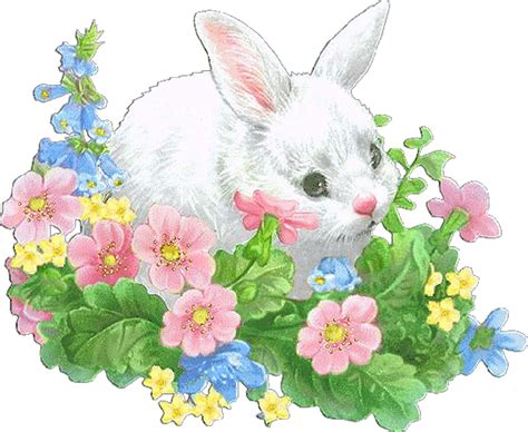Белые кролики и зайцы
