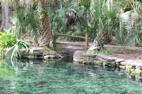 Wekiwa Springs Turquoise Waters Are Beautiful And Refreshing