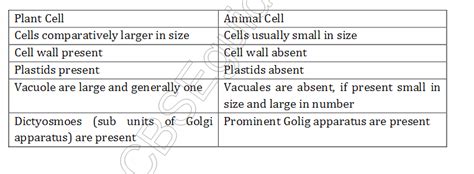 They have one or more, comparatively very smaller vacuoles. Study notes for Delhi Public school: The Fundamental Unit ...