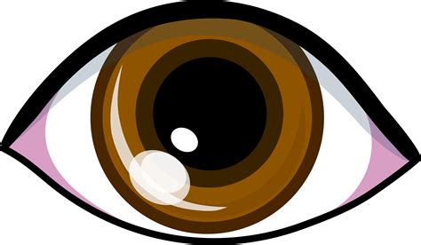 Free Brown Eyes Clipart Download Free Brown Eyes Clipart Png Images
