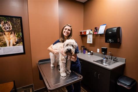 Mission Animal Hospital Helps Care For People By Caring For Pets