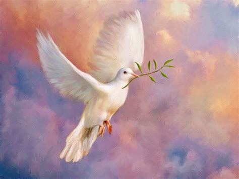 Pin By Annabella Arnold On Beautiful Faith Art Bible Art White Doves