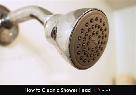 How To Clean A Shower Head