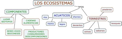 Clasificación De Ecosistemas Ecosistema