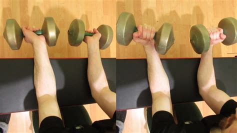 How To Do Dumbbell Wrist Curls For Your Forearms