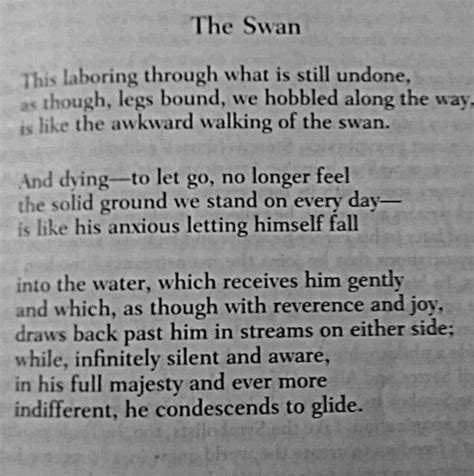 The Swan Rainer Maria Rilke This Is One Of The First Poems I