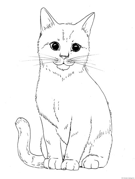 Cat Draw Line Art Illustrations