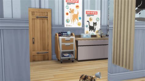 A Live In Vet Clinic In Brindleton Bay With A Dog Training Area Base