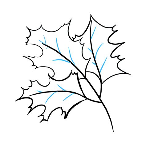 How To Draw Fall Oak Leaves Really Easy Drawing Tutorial