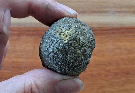 Rare Pyrite Concretion Natural Sphere 105 Grams Energy In Balance