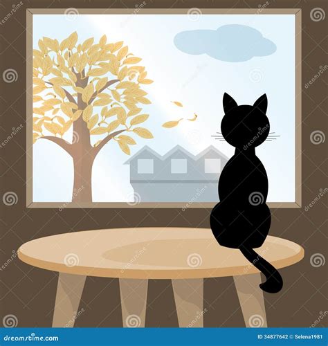 Black Cat At Window Stock Photography Image 34877642