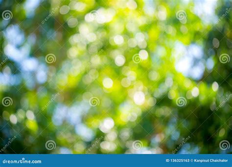 Green And Blue Summer Bokeh For Background Natural Green Blur Style