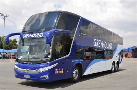 10 Reasons Why You Should Book A Dreamliner Ticket Greyhound Busses