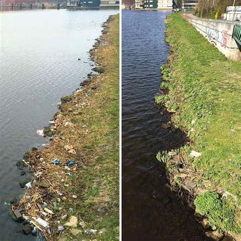 Manny pacquiao has been called crazy for wanting to fight middleweight monster gennady golovkin. Dutch Man Cleans Up Entire River Bank On His Daily Commute ...