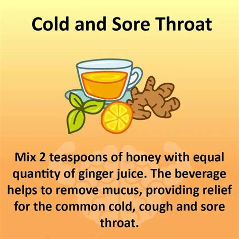 Health And Fitness Freaks Home Remedy For Cold And Sore Throat