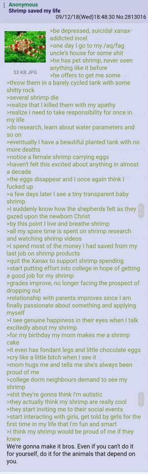 The Greentext Archive On Tumblr