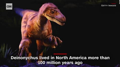 Jurassic Park Got This Wrong About Velociraptors Cnn Video
