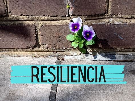 Reflexiones Polifacéticas ¿qué Caracteriza A Una Persona Resiliente