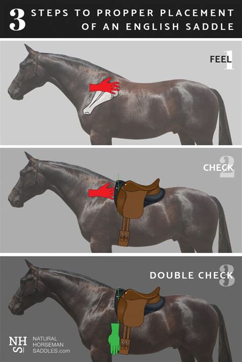 How To Measure A Western Saddle To Fit Your Horse Park Art