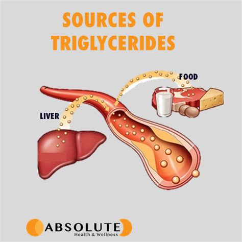 High Triglycerides Symptoms Causes And How To Lower Axe 60 OFF