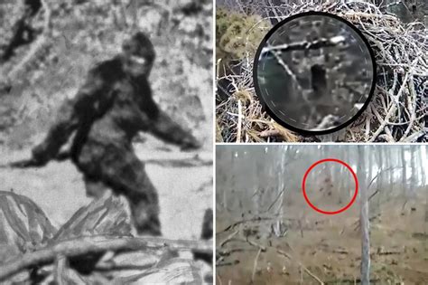 As Bigfoot Hunting Season Could Become A Reality Here Are The Most