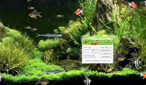 1600x934px Animated Fish Aquarium Desktop Wallpapers Wallpapersafari