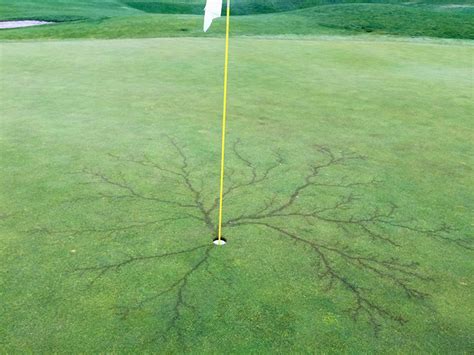 Lightning Strikes Golf Flag And Scorches Putting Green At Local Course