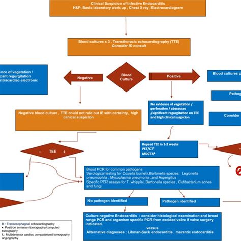Algorithmic Diagram Of A Suggested Workup For Infective Endocarditis