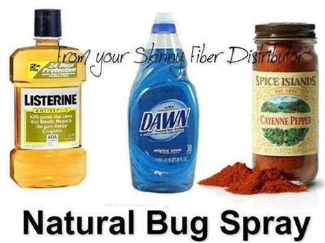Non Toxic Diy Bug Spray Maintaining Order Pinterest