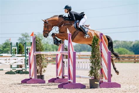 Kacy Qualifies For Fei North American Jumping Championships