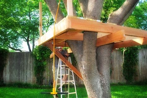 How To Build A Tree House Ayanahouse