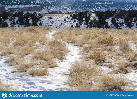 Snow Covered Trails On Grassy Terrain Overlooking Scenic Snowy Hill