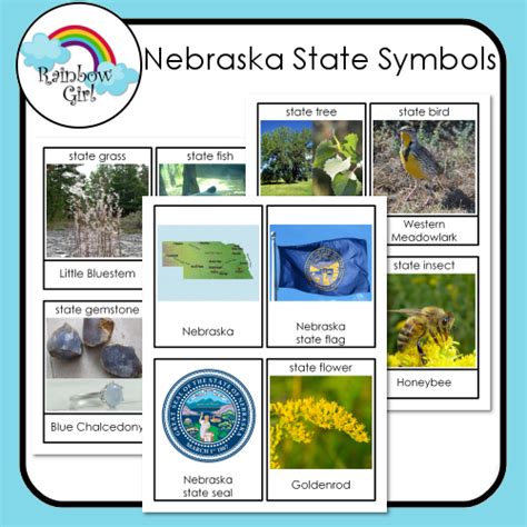 Nebraska State Symbols State Symbols Vocabulary Cards Nebraska State