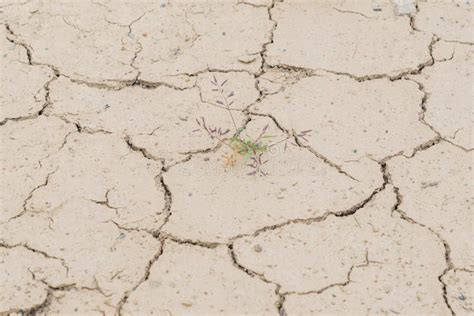 Dry Soil Cracks Desert Ground Drought Stock Image Image Of Summer