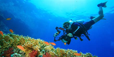 Beginner's Guide to Underwater Photography Equipment - AquaViews