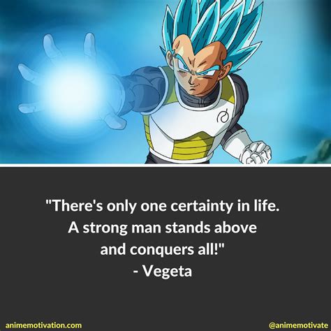 22 Vegeta Quotes Dragon Ball Z Fans Will Appreciate Dragon Ball Dragon Ball Z Dragon Ball