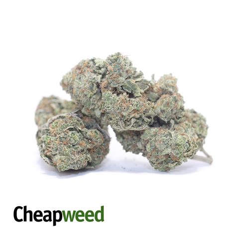 Buy Cherry Kush Deal Of The Day Online Cheap Weed
