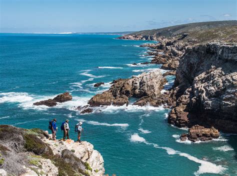 Cape Towns Whale Trail Reopens Southern And East African Tourism Update