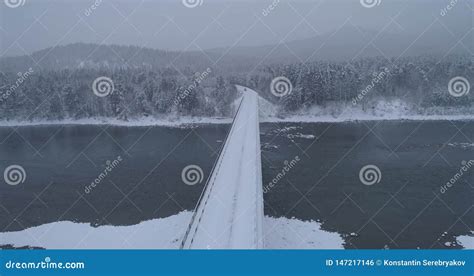 Winter Forest Crossing Over The River Biya Altai Russia 2 Stock