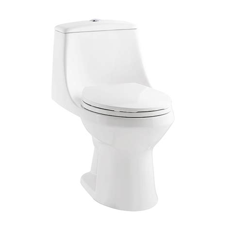 Project Source Laporte White Dual Flush Elongated Chair Height