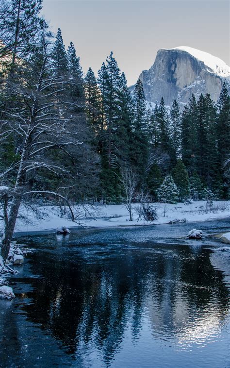 Free Download Yosemite National Park Winter River Trees Mountains